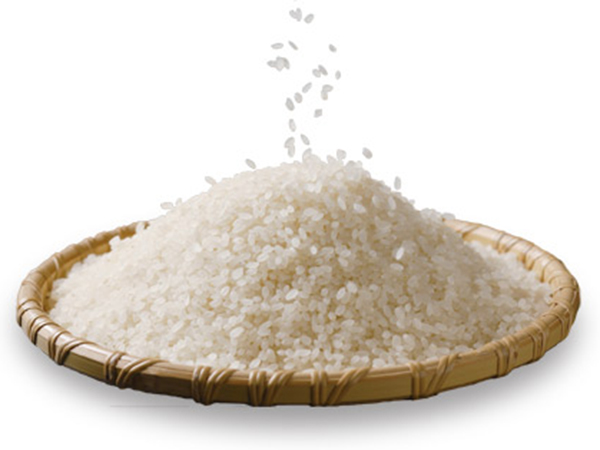 每天都吃的大米，你真的了解嗎？