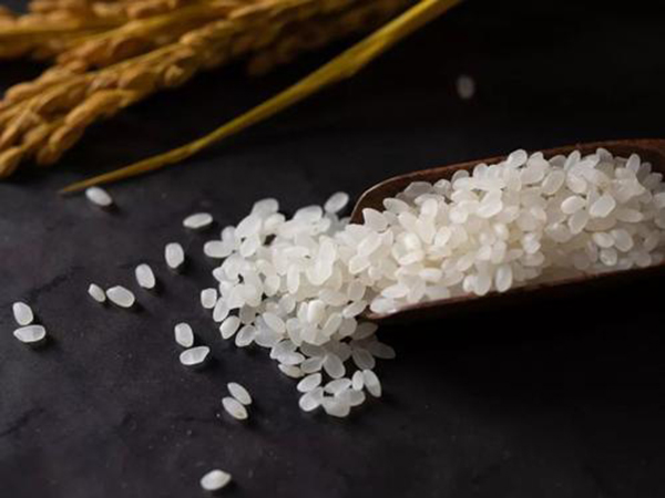 你知道不同時間段的五常大米營養價值也不同么？